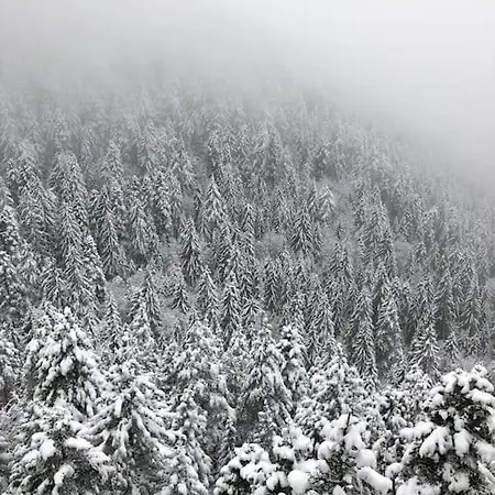 Breathtaking Mountain View 3 Bedrooms 아파트
